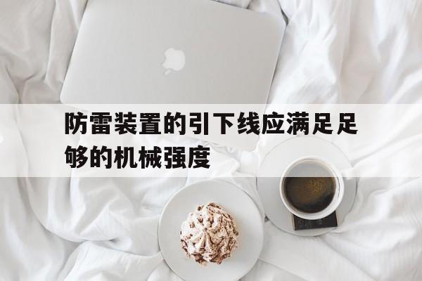 防雷装置的引下线应满足足够的机械强度(防雷装置的引下线应满足足够的机械强度,如用钢)